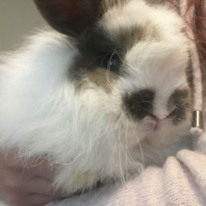 Meet your Posher, Lexi